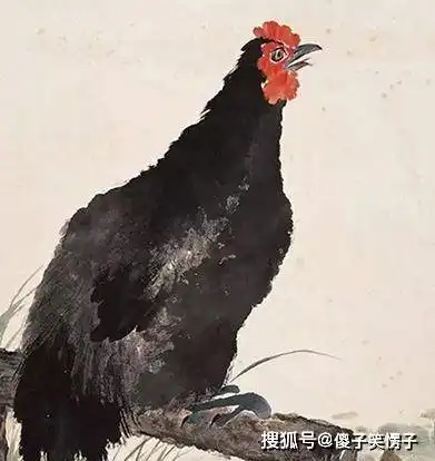 雨泽万物,新年大吉,2019年时运佳,事业走上坡路的3大生肖