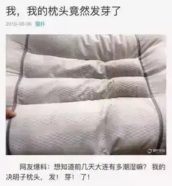 江门靓女的枕头被弄湿之后竟然发芽了