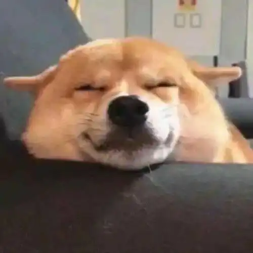 沙雕头像一看就知道病的不轻