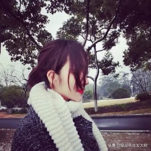 话很少,却极为精明的星座
