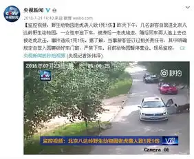 又见送肉上门2女1男为逃票翻进动物园,50米外有7只孟加拉虎