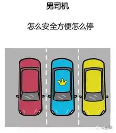 全球唯一一个禁止女性开车的国家解禁,女司机终于遍全球了