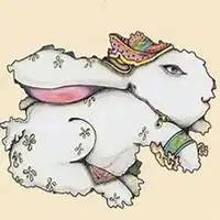 属兔人用什么头像微信头像图片大全