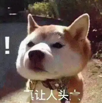 隔着屏幕都能感受到狗子的热情,真挡都挡不住