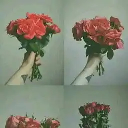 求这张图的原图