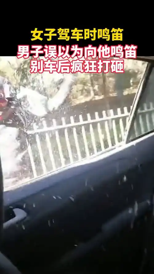 女子驾车时鸣笛,男子误以为向他鸣笛,别车后疯狂打砸
