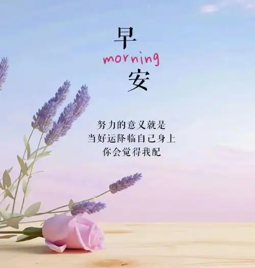精致优雅的正能量阳光句子,干净治愈,致负重前行的你