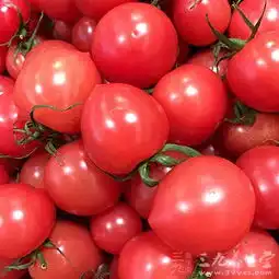 食物营养5种臭气逼人的食物竟是宝
