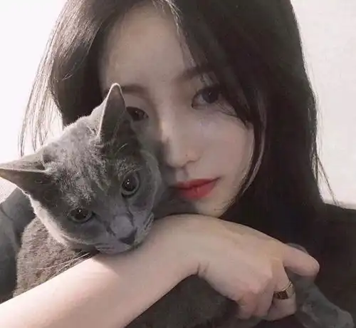 抱猫的5种错误姿势,难怪猫咪不让你抱,该反省了