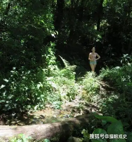 著名的巴拿马雨林失踪案,如今凶手找到了吗