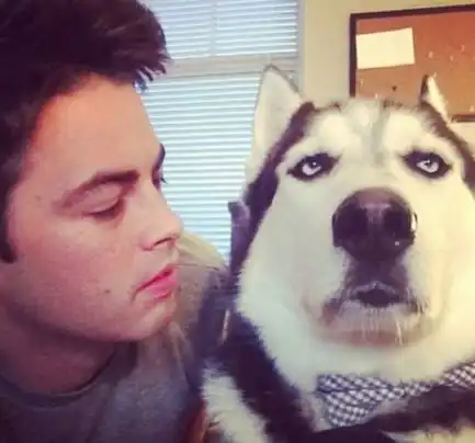 听说,这些是重度爱狗患者的日常...是你不