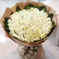 微信头头像白色玫瑰花微信头像图片大全