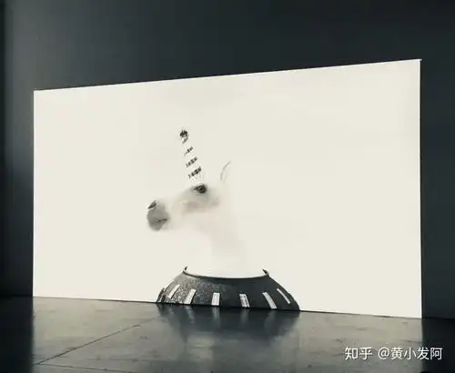 巴黎东京宫科技感的少女心