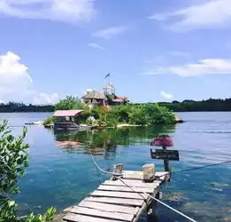 8只小猪旅行平台他用塑料瓶搭成私人海岛,64岁逆袭成网红
