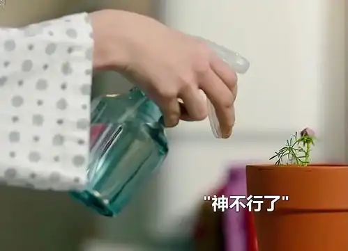 女主已渐渐变得强大男主反而变得多愁善感所以她开始安慰他给他