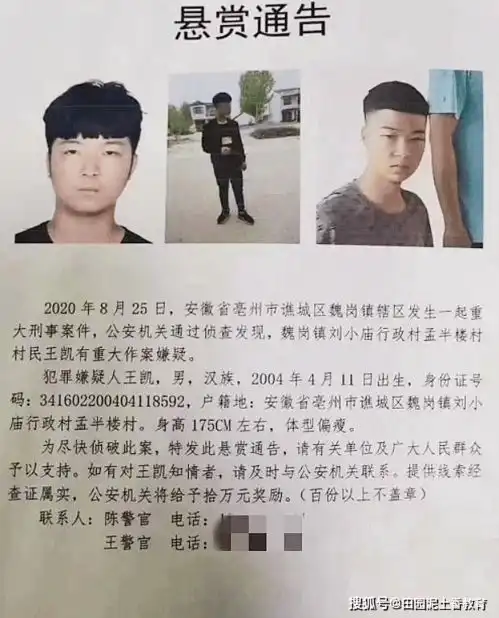 亳州16岁少年杀婶逃亡1周被抓村民称母亲一两岁就离家,父亲很少回家