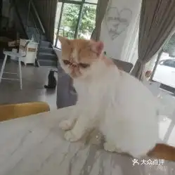 电话,地址,价格,营业时间常州美食