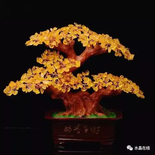 你们那下的是雪,这里下的是水晶美呆了