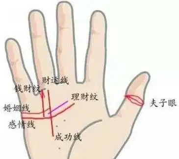 传说中的发财手,凡是有此手相的人,注定大富大贵,啥都不愁