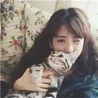 动物头像女生图片大全微信头像图片大全