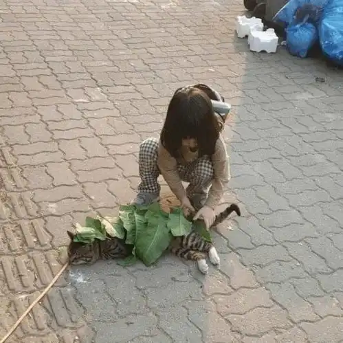 秋分已过,睡觉有这种习惯的同学千万要注意保暖