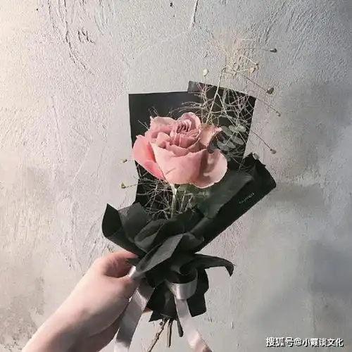 适合发文艺说说的句子,清新脱俗,发朋友圈很有格调