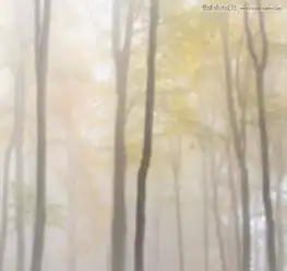 photoshop合成在树林下看书的美女梦幻场景图片