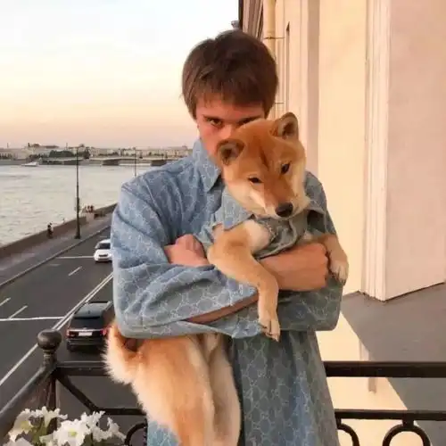 欧美小众头像