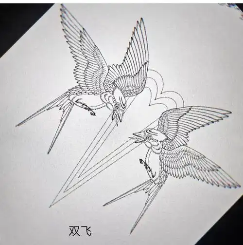 燕子图片整理