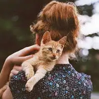 穿着兰格子的女生抱着猫的头像