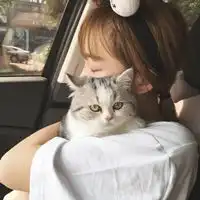 2020高清抱猫女生头像微信头像图片大全