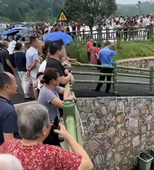 湖南一对情侣殉情后续14岁少女紧握住男子的手,姨妈没来先爱了