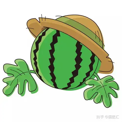 一只西瓜的自白