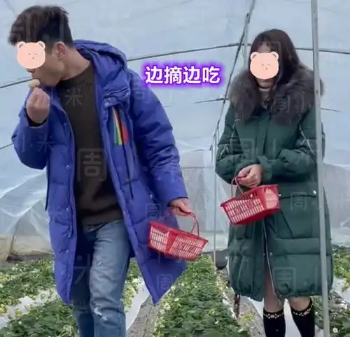 安徽年轻男女在草莓园偷吃1小时,老板怒极反笑当这什么地方