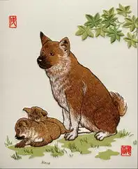情久长狗