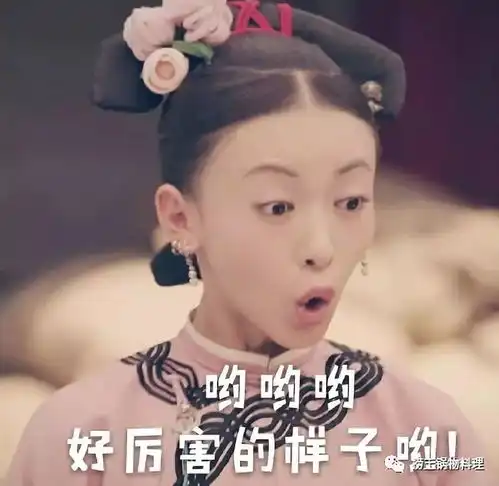给你我的爱这道餐点堪比魏璎珞的心机