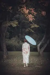 jpg树林写真jpg格式树林写真素材图片jpg树林写真设计模板我图网