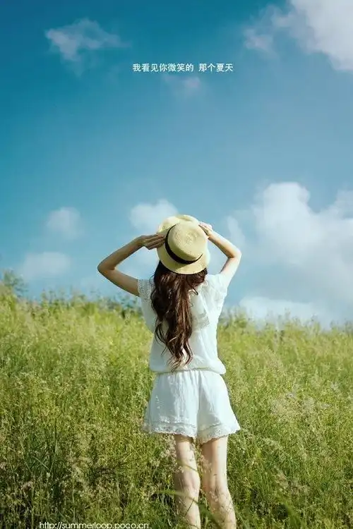 若夏淡如初凉