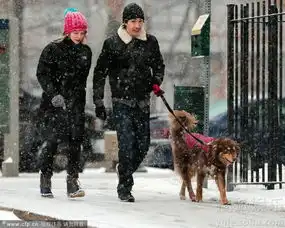阿曼达与男友牵狗雪中散步浓情蜜意羡煞旁人