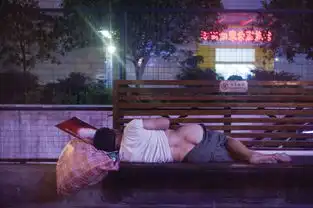 暗视行色