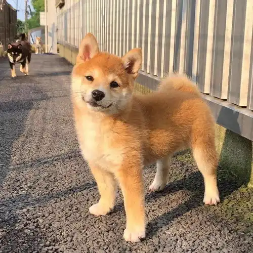 今日头像丨无理取闹的拥抱