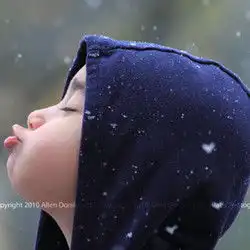 欧美可爱的头像有哪些