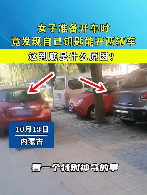 女子准备开车时,竟发现自己钥匙能开两辆车,这到底是什么原因