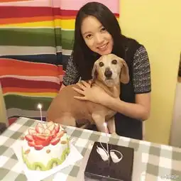 杨幂的手出卖了自己的少女人设,该向刘诗诗学学如何保养第2张脸了