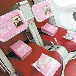 2019民航传播奖候选案例首都航空少女心博物馆主题航班