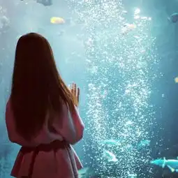 女背影头像看你侧脸的轮廓在灯火中隐没