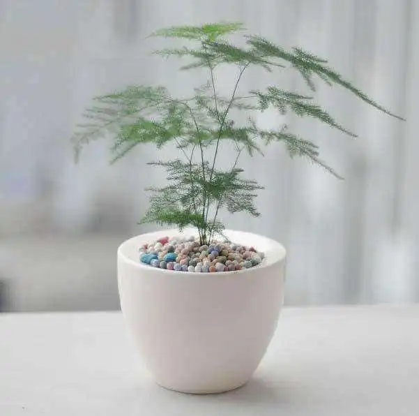 身体健康的保护神,杀灭细菌保证环境洁净