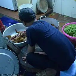 3岁女孩患异食癖极度渴望食用非食品级的物质