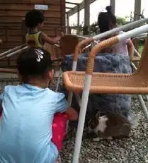 小s自曝母女三人私房照狂秀母爱却不忘搞怪