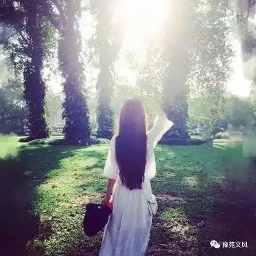 美诵缘分的天空朗诵作者柔情淡墨